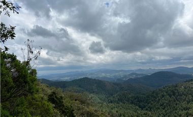 Venta de Terreno 40 hectáreas ideal   ecoturismo en Mineral del Chico