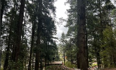 Venta de Terreno 40 hectáreas ideal   ecoturismo en Mineral del Chico