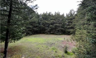 Venta de Terreno 40 hectáreas ideal   ecoturismo en Mineral del Chico