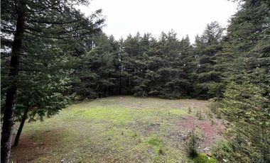 Venta de Terreno 40 hectáreas ideal   ecoturismo en Mineral del Chico