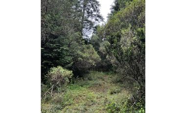 Venta de Terreno 40 hectáreas ideal   ecoturismo en Mineral del Chico