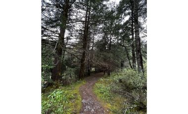 Venta de Terreno 40 hectáreas ideal   ecoturismo en Mineral del Chico