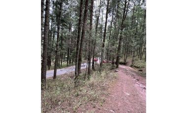 Venta de Terreno 40 hectáreas ideal   ecoturismo en Mineral del Chico