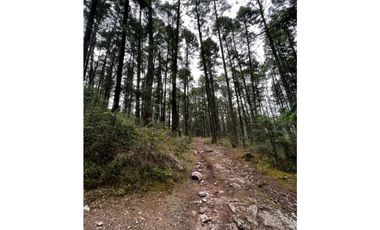 Venta de Terreno 40 hectáreas ideal   ecoturismo en Mineral del Chico