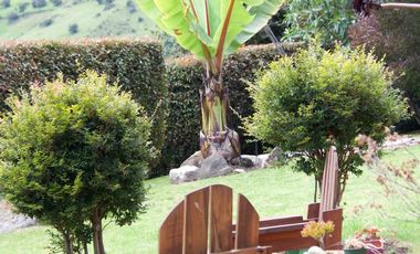 VENDO CASA MACADAMIA, LA CALERA