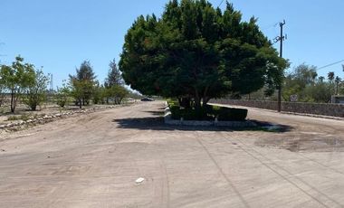 Terreno en venta Ciudad Constitución, Baja California Sur
