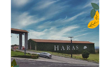 Terrenos en Venta Puebla Haras del Bosque
