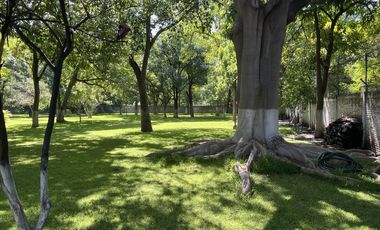 Venta Casa de Un Nivel excelente para Hotel Boutique o Asilo en Xochitepec,  Morelos