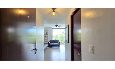 Apartamento en Alquiler ,1 Rec, PH Mosaic, Panamá Pacifico