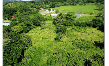 Vendo finca en San Carlos David