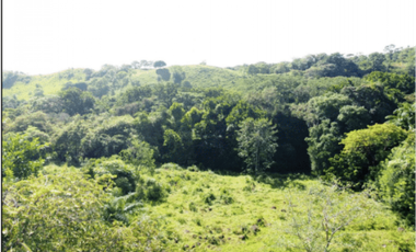 Vendo finca en San Carlos David