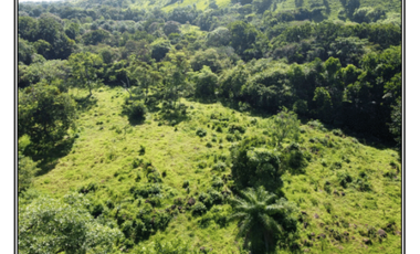 Vendo finca en San Carlos David