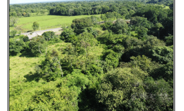 Vendo finca en San Carlos David
