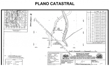 Vendo finca en San Carlos David