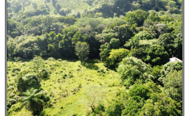 Vendo finca en San Carlos David
