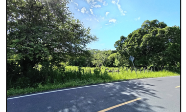 Vendo finca en San Carlos David