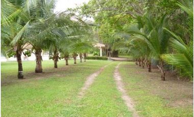VENDO CASA EN CHAME COLONSITO 400MTS DE CONTRUIDA Y DE TERRENO 24.500M