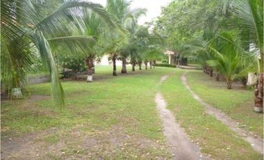 VENDO CASA EN CHAME COLONSITO 400MTS DE CONTRUIDA Y DE TERRENO 24.500M