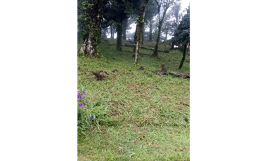 ALTOS DEL MARIA / LA RIOCA / TERRENO / 1750M / SOBRE EL NIVEL DEL MAR