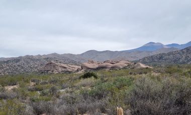 VENTA LOTES FRENTE AL PERILAGO EN POTRERILLOS