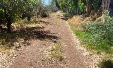 Lote de 1134 m² en Callejón Comunero Ruta 20 Maipú