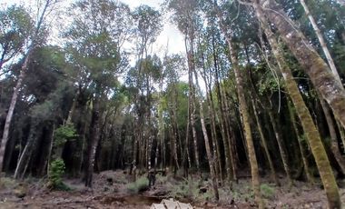 Parcela en Venta en Fundo las cumbres