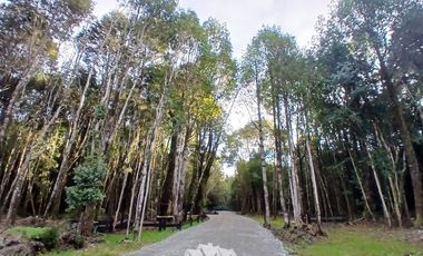 Parcela en Venta en Fundo las cumbres