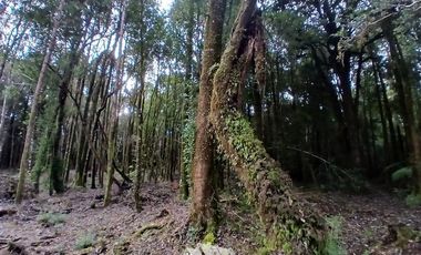 Parcela en Venta en Fundo las cumbres