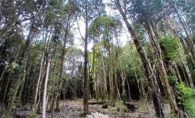 Parcela en Venta en Fundo las cumbres