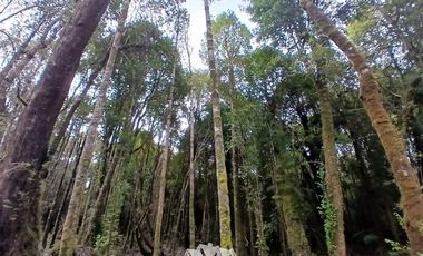 Parcela en Venta en Fundo las cumbres