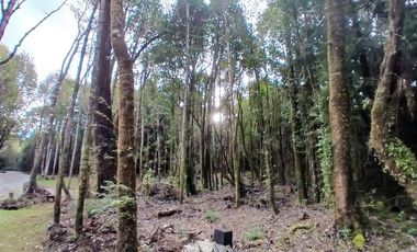 Parcela en Venta en Fundo las cumbres