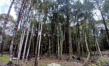 Parcela en Venta en Fundo las cumbres