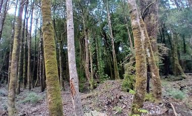 Parcela en Venta en Fundo las cumbres