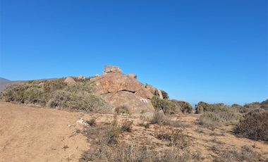 Sitio en Venta en El Panul - La Herradura