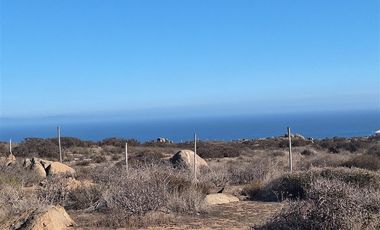 Sitio en Venta en El Panul - La Herradura