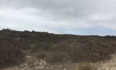 Terreno Construccion  en Venta en El Panul - La Herradura