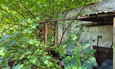 LOTE CASA A DEMOLER -OPORTUNIDAD REMED de ESCALADA