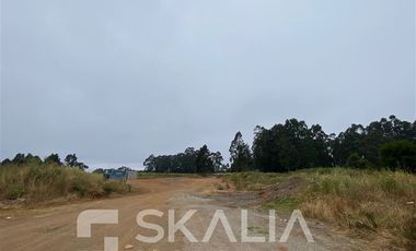 Sitio en Arriendo en camino a Coronel