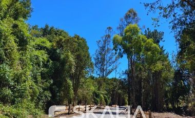 Sitio en Arriendo en a pocos kilómetros de Puerto Montt y Puerto Varas, al lado del rio Maullin