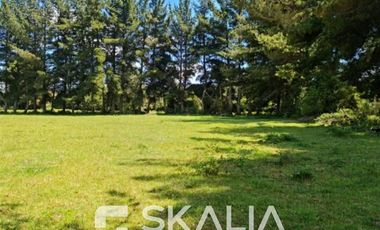Agrícola en Arriendo en a pocos kilómetros de Puerto Montt y Puerto Varas, al lado del rio Maullin