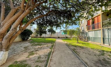 Conectividad Seguridad Tranquilidad Vida Familiar