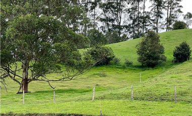 Venta Lote En Rionegro pontezuela