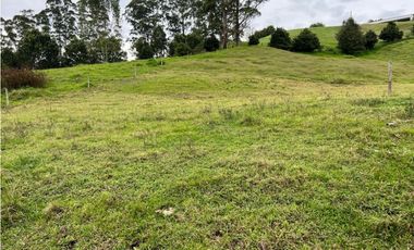 Venta Lote En Rionegro pontezuela