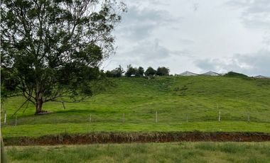 Venta Lote En Rionegro pontezuela