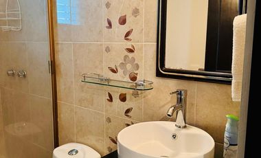 DEPARTAMENTO AMUEBLADO EN RENTA SOBRE ALBERTA