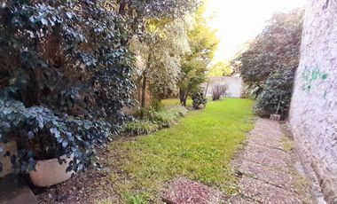 Vicente López - sobre Av. Maipú - Local con Gran Jardín apto varios rubros!