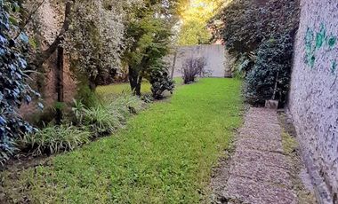 Vicente López - sobre Av. Maipú - Local con Gran Jardín apto varios rubros!