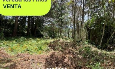 Lote en venta- Rionegro- Vereda los Pinos