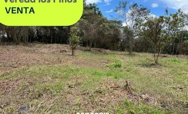 Lote en venta- Rionegro- Vereda los Pinos