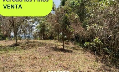 Lote en venta- Rionegro- Vereda los Pinos